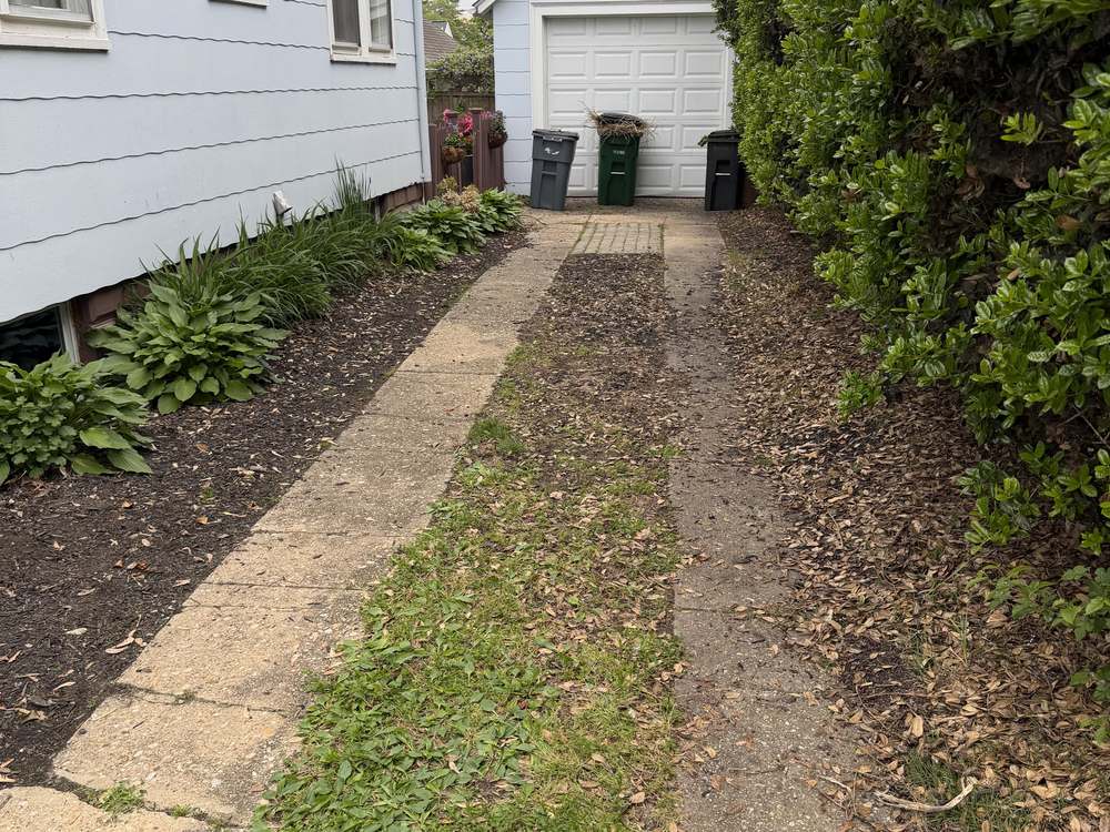 Cleared side walkway to the garage after junk removal in Annapolis, MD